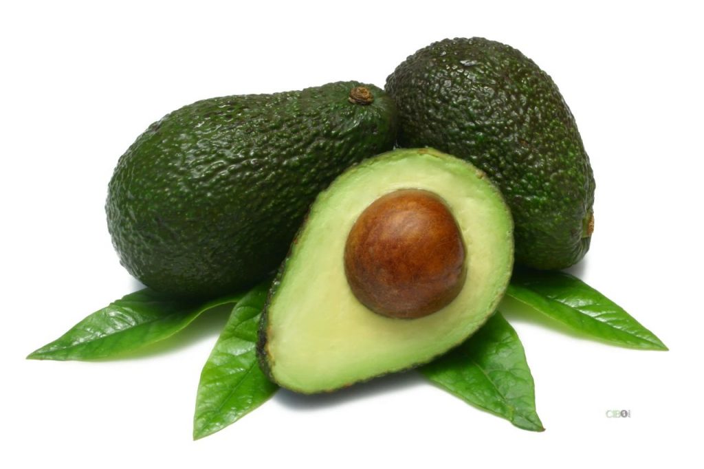 This image has an empty alt attribute; its file name is image-1024x682.jpg
